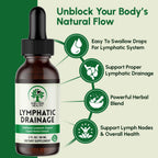 SHELTREE HEALTH Lymphatic Drainage Drops, 2 Fl. Oz | Organic Lymphatic Drainage Supplements with Cleavers, Red Clover Flower, Stillingia Root, Prickly Ash Bark, Dandelion | Vegan | Non-GMO