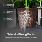 VIVOSUN Seed Rooter, Plant Starter Plugs, 40 Cubes