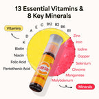 KWANGDONG Vita500 Daily Immune Support Shot - 13 Vitamins 8 Minerals Immunity Booster Supplement, Liquid Vitamin C Drink, Ready to Drink Energy Shot, Korean Vitamin Supplement, 0.75 Fl Oz (7 Bottles)