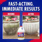 30 SECONDS Outdoor Mold & Mildew Cleaner & Stain Remover Concentrate | 128 fl. oz. | 2 Pack