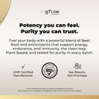 gflow vitamins Beet Root Capsules Organic - All Natural with Vitamin C and Zinc - Supports Heart Health & Stamina, Non-GMO, 180 Vegetarian Capsules | Made in USA