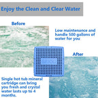 BFJOG Hot Tub Mineral Cartridge for Sundance Spas, Spa Mineral Ag+ Cartridge to Make Your Spa Water Clean and Clarified, Silver Ion Cartridge Can Continue to Supply Fresh Water for 8 Months (2-Packs)