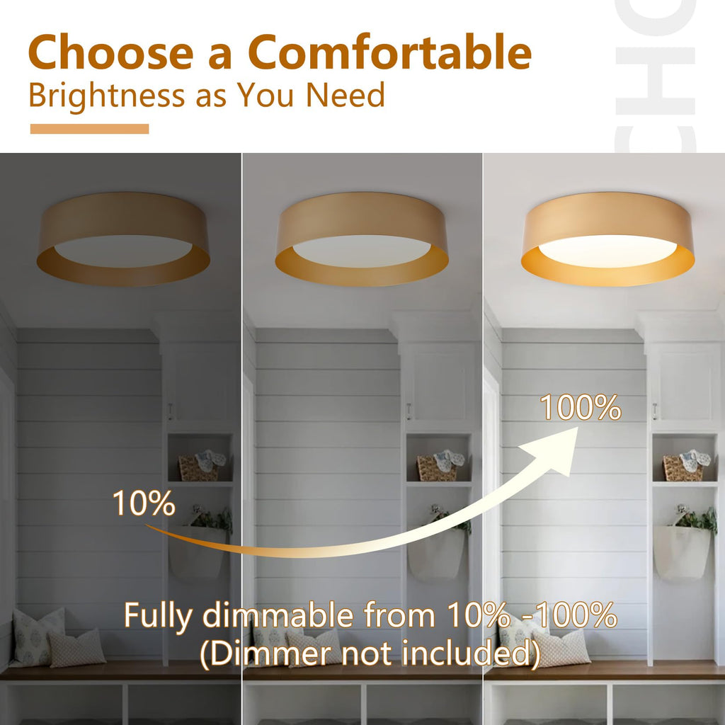 Bargeni Flush Mount Ceiling Light, 12.5 inch LED Ceiling Light Fixture, Polished Gold Finish, Dimmable/3000K/18W, Outdoor Flush Mount Lighting Fixture
