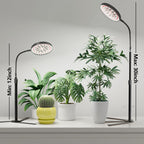 Grow Light for Plants Indoor Growing,Height 10-32'' with Dimming & Timer