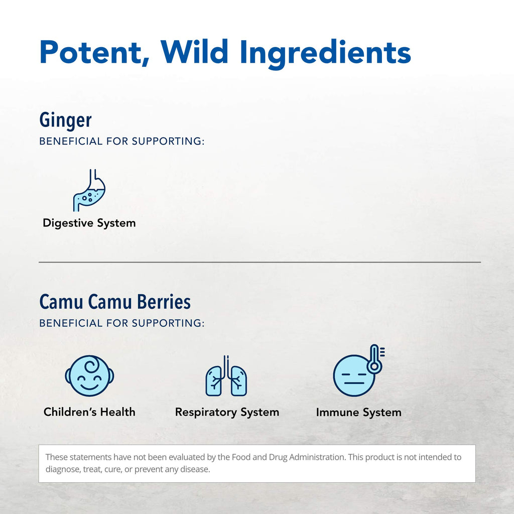 NORTH AMERICAN HERB & SPICE Inflam-eeZ - 90 Capsules - Supports Healthy Immune & Inflammatory Response - Ginger Root, Camu Camu Berries, Bromelain & Papain Plus - Non-GMO - 45 Total Servings