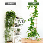 Wooden Ladder Plant Trellis for Climbing Plants – 6ft Extra Tall Indoor & Outdoor Hanging Wall Wooden Trellis Garden Plant Support, Easy to Install for Vines, Ivy, Pothos, Potted Plants
