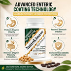 Shileoo Nattokinase Supplement 10000FU – Cardiovascular Support – Extended Release – Vegan, Non-GMO, Gluten-Free – 120 Vegan Capsules