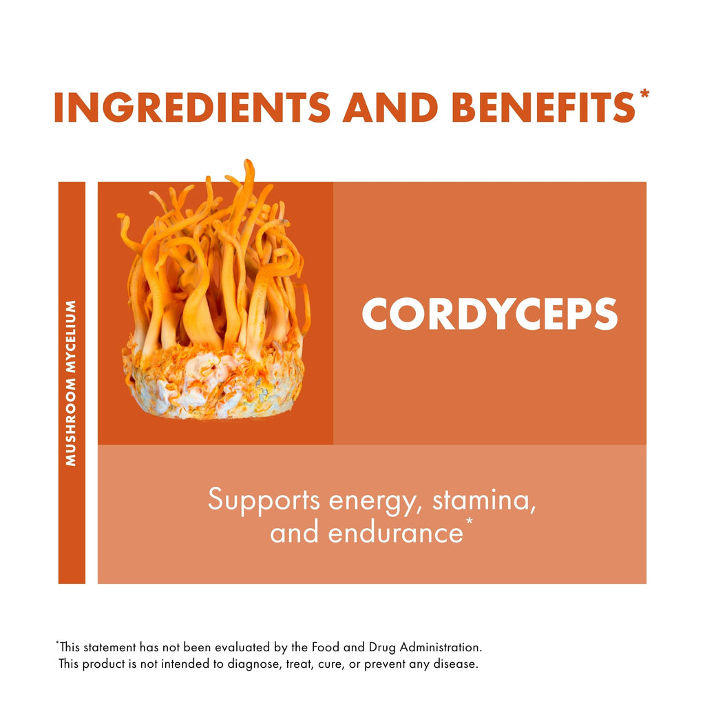 Host Defense Cordyceps Capsules - Immune & Energy Support Supplement - Kidney Health Supplement with Cordyceps - Fitness Support Supplement to Aid Oxygen Uptake - 120 Capsules (60 Servings)*