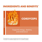 Host Defense Cordyceps Capsules - Immune & Energy Support Supplement - Kidney Health Supplement with Cordyceps - Fitness Support Supplement to Aid Oxygen Uptake - 120 Capsules (60 Servings)*