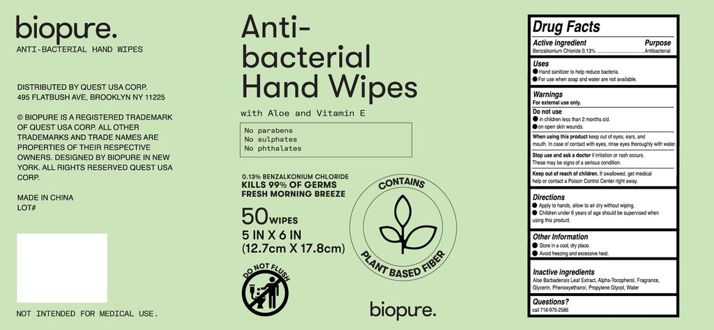 Biopure Antibacterial Hand Wipes Fresh Morning Breeze- Antibacterial Wipes with Aloe and Vitamin E Formula | 5"x7" Wet Wipes Canister | No Parabens, Sulfates or Phthalates, Kills 99% of Germs, 300 ct