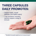 Metagenics PhytoMulti Multivitamin - 20+ Essential Vitamins & Minerals with Phytonutrients - Supports Healthy Aging, Cellular Health, Energy & Immune Function - Non-GMO & Gluten-Free - 60 Capsules