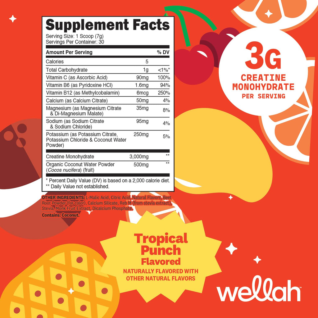 Wellah Creatine + Electrolytes Powder (Fruit Punch) 30 Servings - Hydration Drink Mix with 3g of Creatine Monohydrate