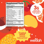 Wellah Creatine + Electrolytes Powder (Fruit Punch) 30 Servings - Hydration Drink Mix with 3g of Creatine Monohydrate