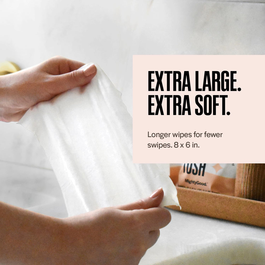 Wipe That Tush On-The-Go Flushable Wipes Bulk Pack - 12 Packs of 10 Individually Wrapped Travel Wipes, 120 Total - Fragrance Free - Hypoallergenic With Aloe & Vitamin E - Septic Safe