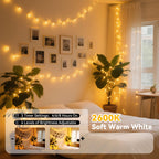 LitHome 66 FT Color Changing Fairy Lights Plug in with Remote, 200 LED