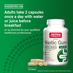 Jarrow Formulas Mastic Gum 1000 mg - 60 Veggie Caps - Mastic Gum Capsules Supporting Stomach and Duodenal Health - 30 Servings