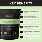 JUST INGREDIENTS Creatine Monohydrate Powder with Rejen Fulvic Mineral Complex - Supports Muscle Recovery, Energy, Strength, Cognitive Function - 30 Servings