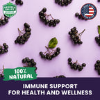 Akronia Valley Aronia Berry Gummies | 45 Vegetarian Gummies | Pack of 1 | Immune Support, for Health and Wellness, Delicious Aronia Flavor