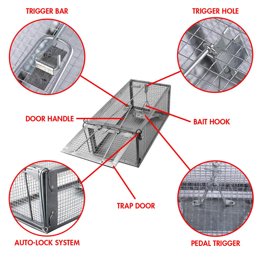 Chipmunk Trap -2 Pack, Squirell and Rat Trap Cages that Works, Humane Mouse Trap for Home | Catch and Release | Reusable and Durable | No Kill Animal Trap | for Inside Home and Outdoor Use