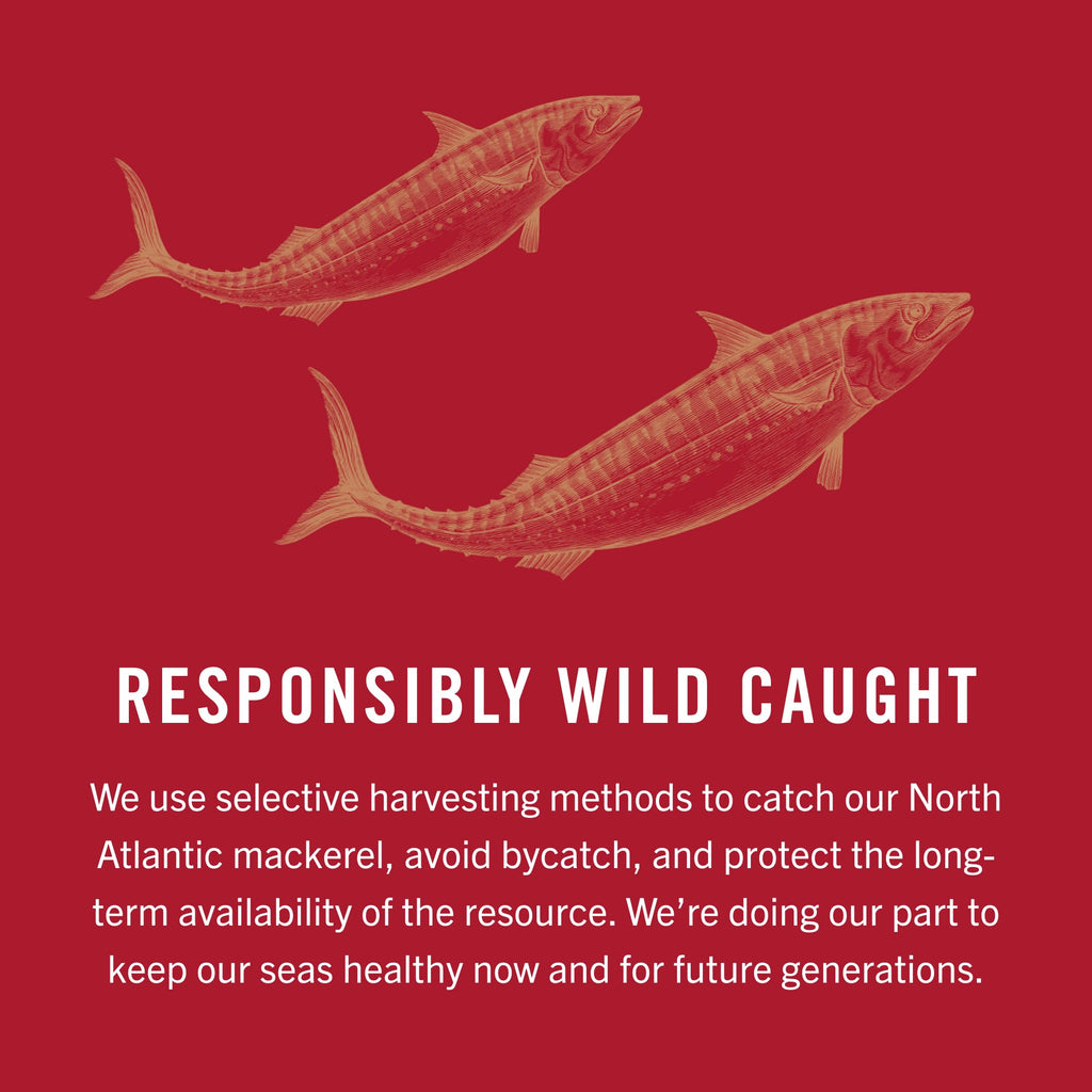 King Oscar Mackerel in Olive Oil, 4.05 oz Can, 6-Pk, Wild Caught