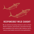 King Oscar Mackerel in Olive Oil, 4.05 oz Can, 6-Pk, Wild Caught