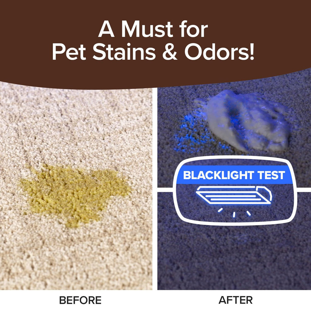 Horsepower Bull Shot Carpet Spot & Stain Remover by Horsepower, AS SEEN ON TV, Made In USA, Just Point & Spray, Stain-Lifting Foam-Action, Pet Stains & Odors, Coffee, Soda, Wine, Stains, 2 Pack