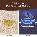 Bull Shot Carpet Spot & Stain Remover, AS SEEN ON TV, Made In USA, Just Point & Spray, Stain-Lifting Foam-Action, Coffee, Soda, Wine, Grease, New & Old Stains & More