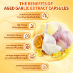 VivoNu Aged Garlic Extract Capsules, 10500mg Odorless Garlic Supplements with Magnesium, Chromium, B1 & B9, Supports Immune Health & Heart Function| 2 Years Matured | 300 Softgels