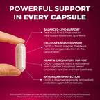 Natural Supplement with CoQ10, Red Yeast Rice, Niacin, Policosanol and Guggul. The Natural Way. by New Health Plus 60 MG Co-Q10 (120 caps)