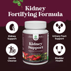 Advanced Kidney Support Supplement - Kidney Cleanse Detox & Repair Cranberry Extract Capsules with Uva Ursi, Stinging Nettle & Astragalus for Kidney Health - Urinary Tract Health - 240 Count