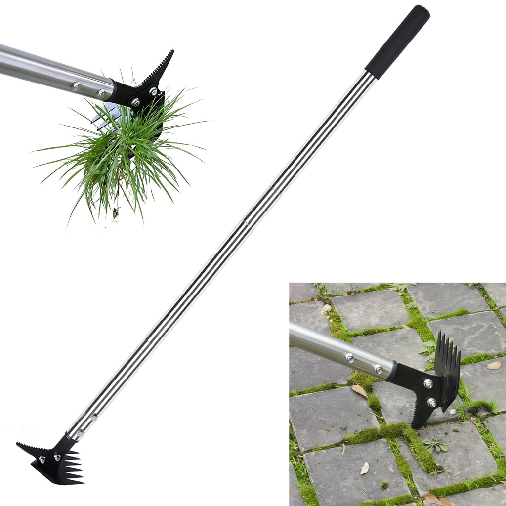 BARAYSTUS Weed Puller 61" Adjustable Long Handle, 2-in-1 Weed Rake & Crack Weeder with Detachable Head, Stainless Steel Weeding Tool for Lawn, Yard, Garden & Sidewalk Cracks, Weed Remover