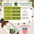 VITAL AFFAIR Castor Oil Organic Cold Pressed Unrefined Glass Bottle - USDA Certified Castor Oil For Hair Growth, Skin, Eyelashes, Eyebrows & Nails - 8 Fl Oz