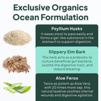 Organics Ocean Better Fiber - Daily Fiber Supplement - Soften Stool for Effortless Bowel Movements - with Psyllium Hulk and Slippery Elm - 90 Capsules