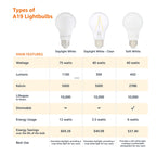 Amazon Basics A19 LED Light Bulbs, 60W Equivalent, 9W Energy Efficient, E26 Standard Base, Soft White 2700K, Dimmable, 10,000 Hour Lifetime, 16-Pack