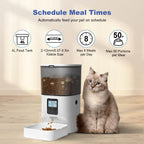 ANDOLL HOME Automatic Cat Feeder,4L Timed Cat＆Dog Dry Food Dispenser