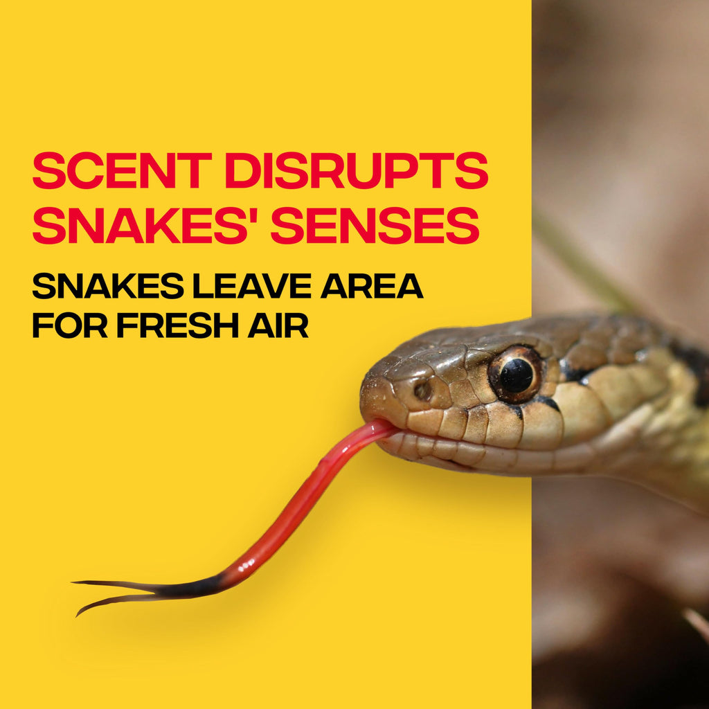 Victor Snake-A-Way Outdoor Snake Repellent Granules for Yard, 10 lb Bag