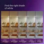 PHILIPS LED 40W A19 8-Pack Ultra Definition Soft White (2200K) 450 Lumen (5W = 40W) Dimmable Frosted Flicker-Free Light Bulbs