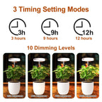 Grow Lights for Indoor Plants Small Potted - Full Spectrum, Auto 3/9/12H Timer, 10-Level Dimming & Adjustable Height - Compact Grow Light for Succulents, Herbs, Foliage in Home/Office (White,2PACKS)