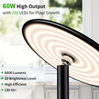 chiphy 85" Tall Grow Light for Large Indoor Plants, 60W Full Spectrum Plant Light with 4/8/12H Timer & Remote, 10-Level Dimmable, Height Adjustable, Ideal for Large Tall Plants & Indoor Trees