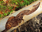 Zep Root Kill - 2 Lbs (Case of 4) ZROOT24 - Root Control in Septic Tanks and Leach Lines