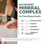 Flora Fulvic | Fulvic Acid + Humic Acid Complex – 550 mg |Mined in Utah, Prehistoric Deep Earth Extract | Immunity, Gut, Digestion – Natural Trace Mineral Complex, Fulvic Acid Supplement – 60 Capsules