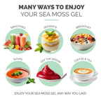 EverSmith Organics - Wildcrafted Irish Sea Moss Gel | Made in USA | Rich in Vitamins & Minerals | Sea Moss Gel Raw | Nutritional Supplement | Mixed Berry (16 oz)