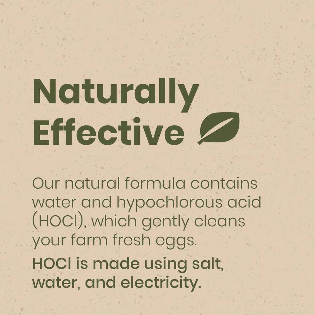 Good Salt Pet Fresh Nest Egg Wash, Natural Cleaner for Freshly Laid Eggs, Made in the USA, 1 Gallon Bottle