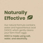 Good Salt Pet Fresh Nest Egg Wash, Natural Cleaner for Freshly Laid Eggs, Made in the USA, 1 Gallon Bottle