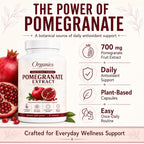 KYZTMHC Organic Pomegranate Extract, Pomegranate Fruit Extract Supplement with Polyphenol Antioxidants, Non-GMO, Daily Wellness Support, 90 Capsules