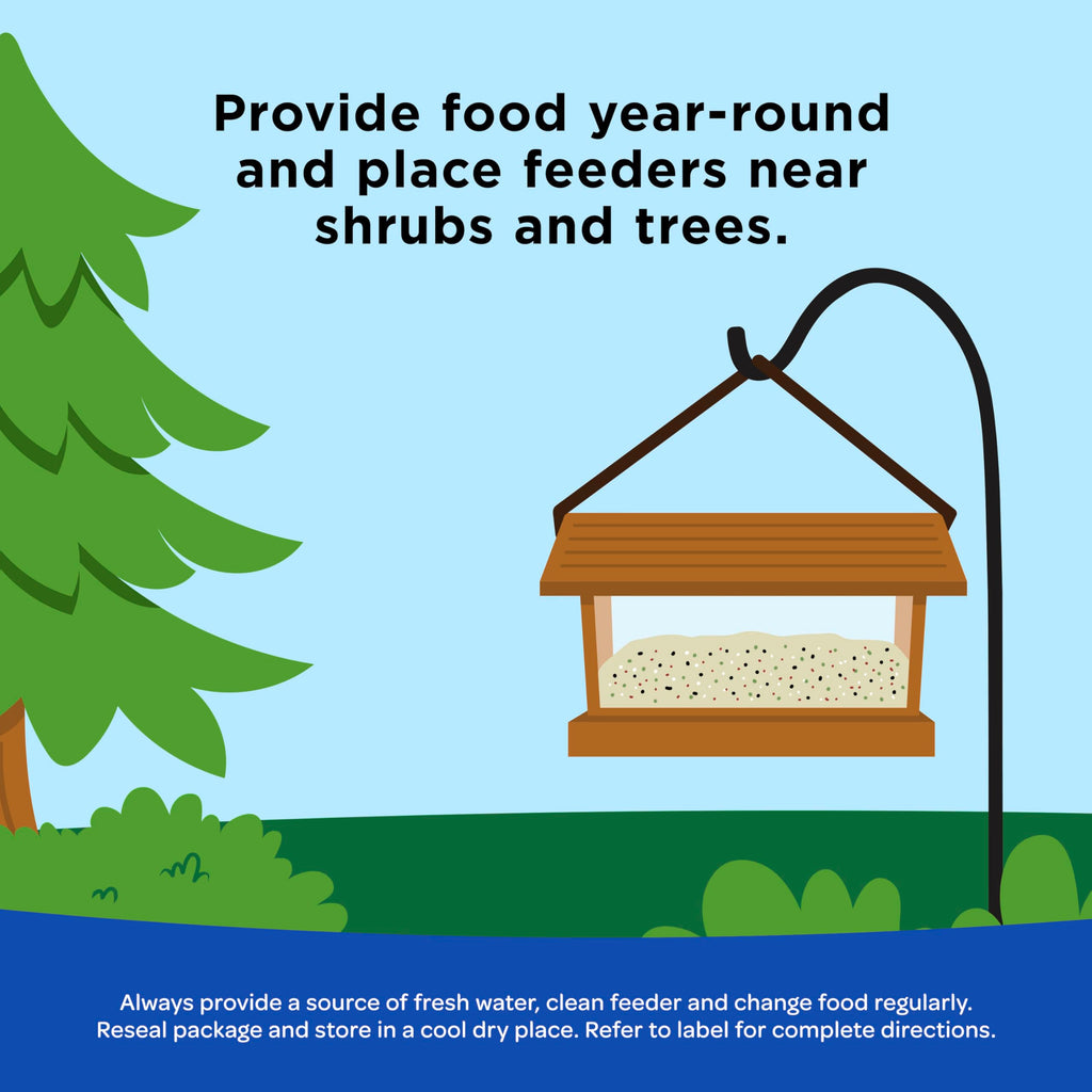 Kaytee Peanuts Wild Bird Food, High in Fat and Protein, 11 Pounds