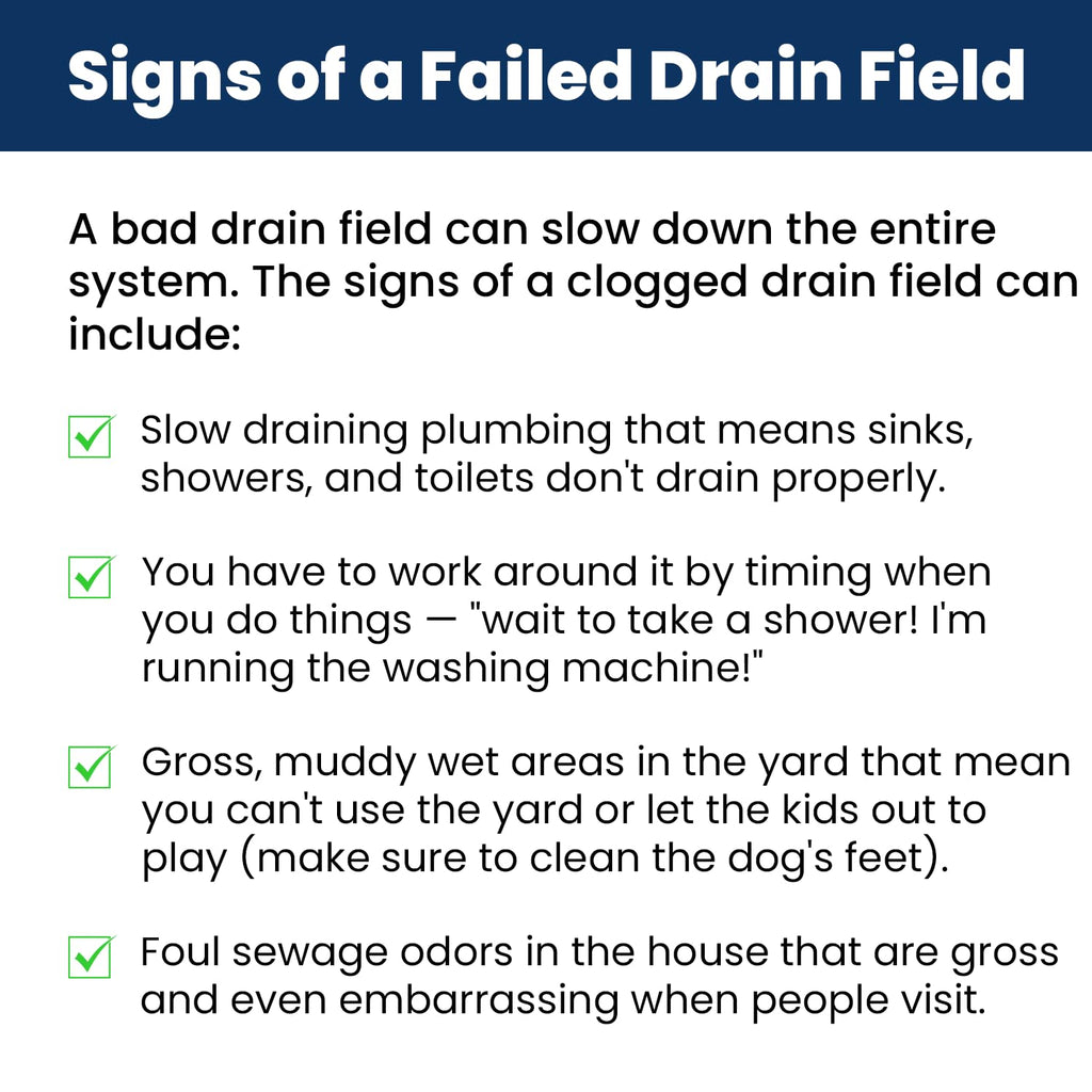 Accelerator by Dr. Pooper Drain Field Cleaner Tablets (20 Count) - Septic Tank Treatment for Clogs, Odor & Sludge - 90% Less Plastic - 10 Month Supply - Aerobic & Anaerobic Systems - Easy Flush
