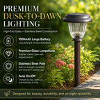 DERAYSION 8 Pack Solar Lights Outdoor, Stainless Steel Glass Solar Pathway Lights, Auto On/Off Long-Lasting Waterproof Garden Lights for Landscape, Path, Yard, Driveway, Walkway Decor (Warm White)