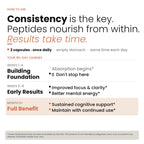 Nootropic Brain Supplement – Grass-Fed Bovine Brain Peptides for Focus, Memory & Mental Clarity – Ancestral Cognitive Support – Argentine Pasture-Raised, Non-GMO – 60 Capsules