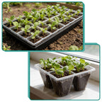 RooTrimmer 40 Pack Reusable 4-Cell Seed Starter Trays with Large Drainage Holes - Clear Transparent Trays for Root Growth Monitoring, Avoids Overwatering, Easy Transplant, Fits Standard 1020 Trays